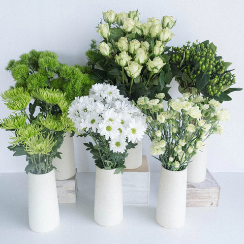 So Fresh So Green Combo Pack Recipe - Image
