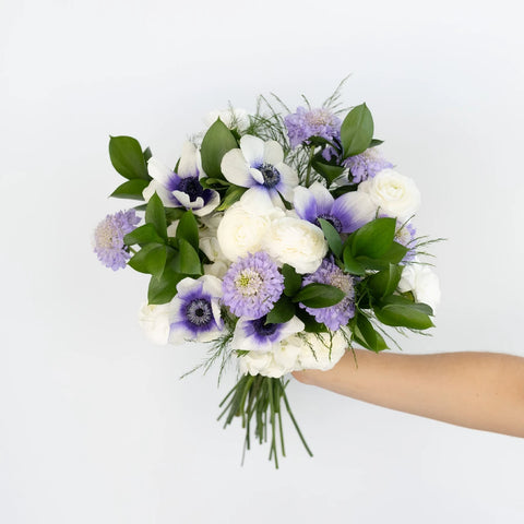 Soft Anemone Dreams Diy Flower Kit Hand - Image