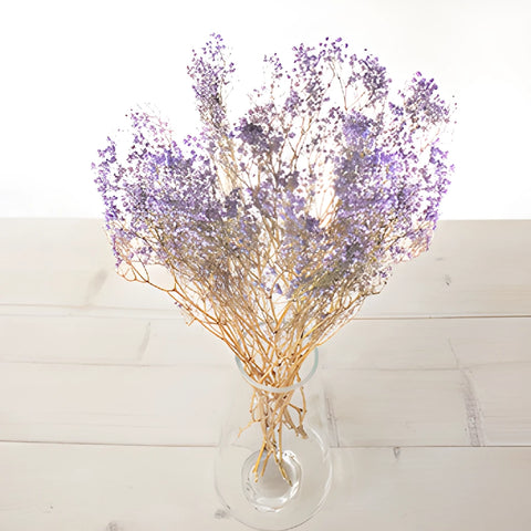 Soft Purple Dried Baby's Breath Flower