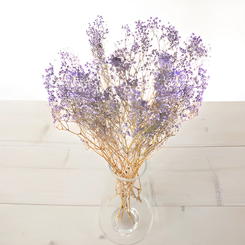 Soft Purple Dried Baby's Breath Flower