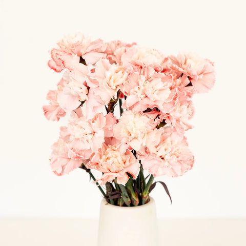 Red Dyed Carnation Flowers Vase - Image