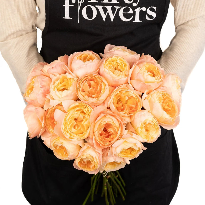 Southern Comfort Peach Garden Rose Apron - Image