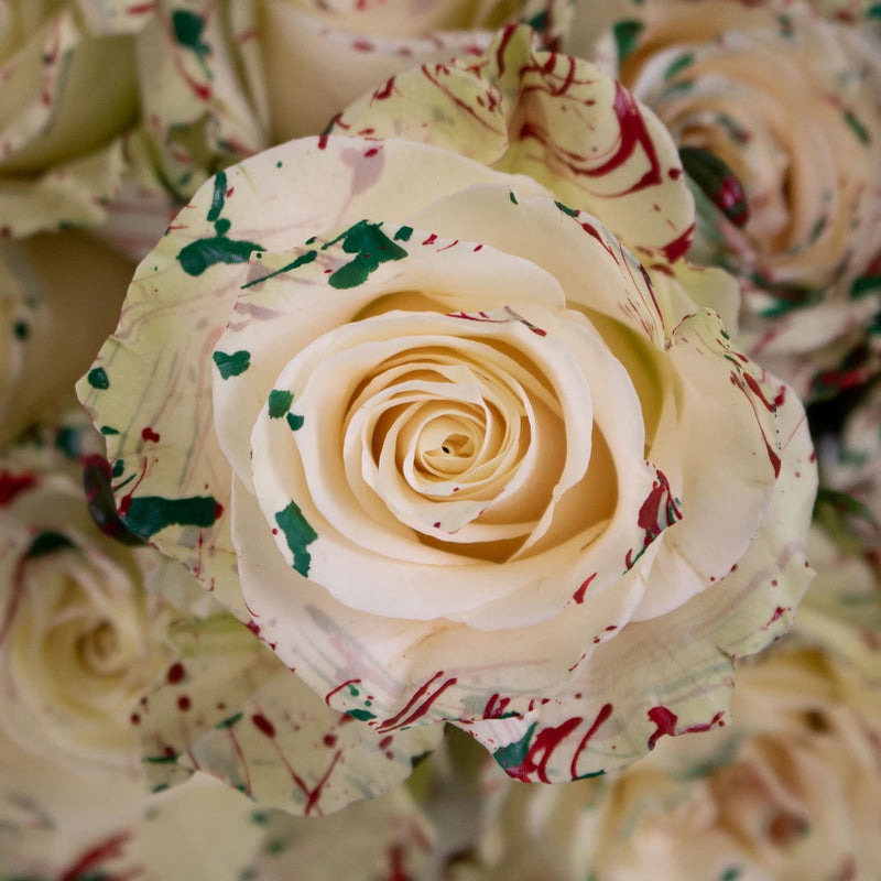 Splash of Christmas Spirit Rose Bouquet