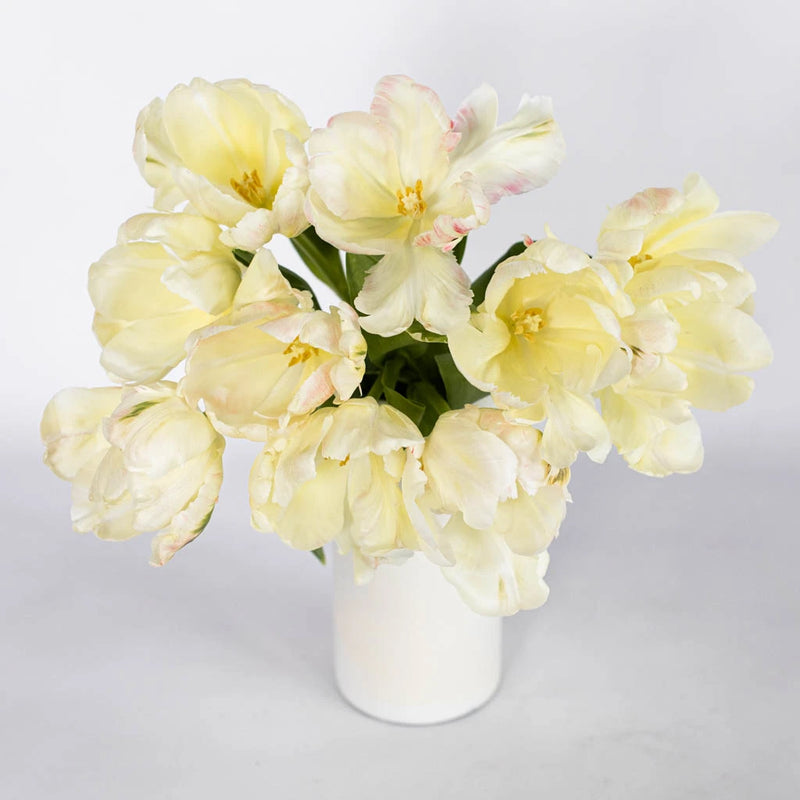 Pale Yellow Parrot Tulip Flower Bunch in Vase