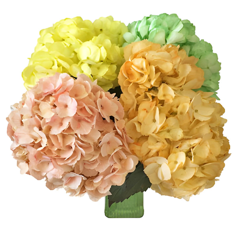Spring Mix Hydrangea Wholesale Flower In a vase