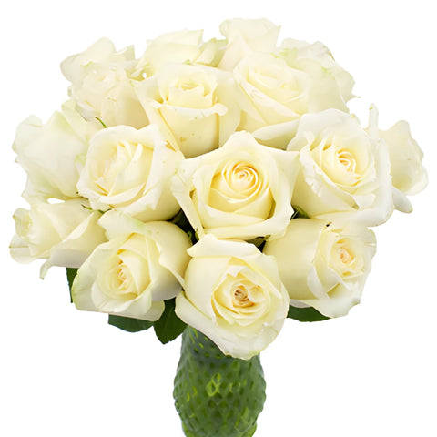 Sublime Champagne Bulk Roses