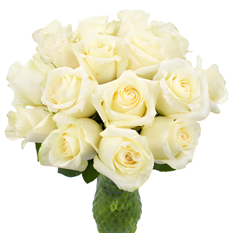 Sublime Champagne Bulk Roses