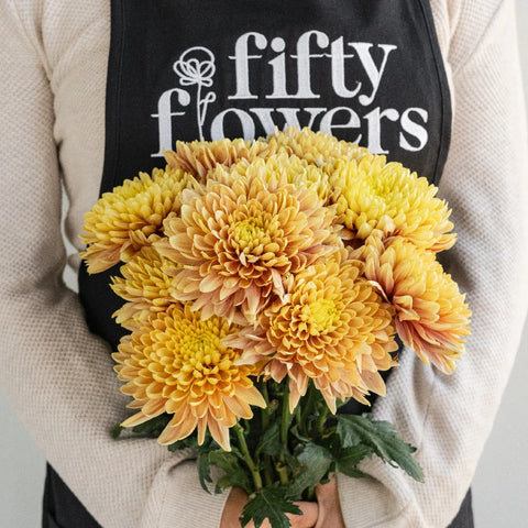 Salmon Oefa Apron - Image