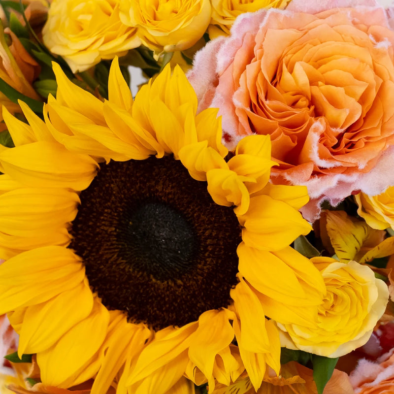 Sunny Velvet Flower Diy Flower Kit Close Up - Image