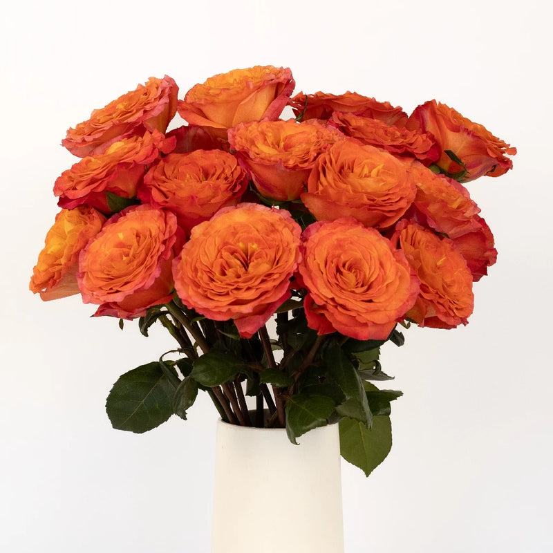 Garden Rose Sunset Blend Vase - Image