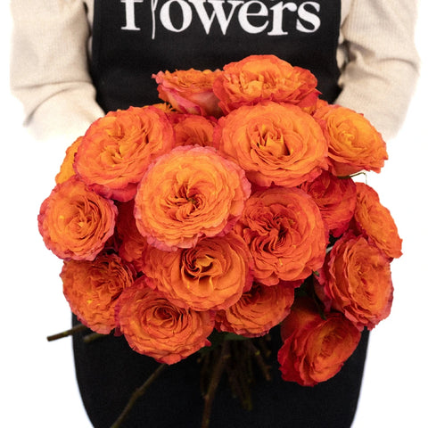 Garden Rose Sunset Blend Apron - Image