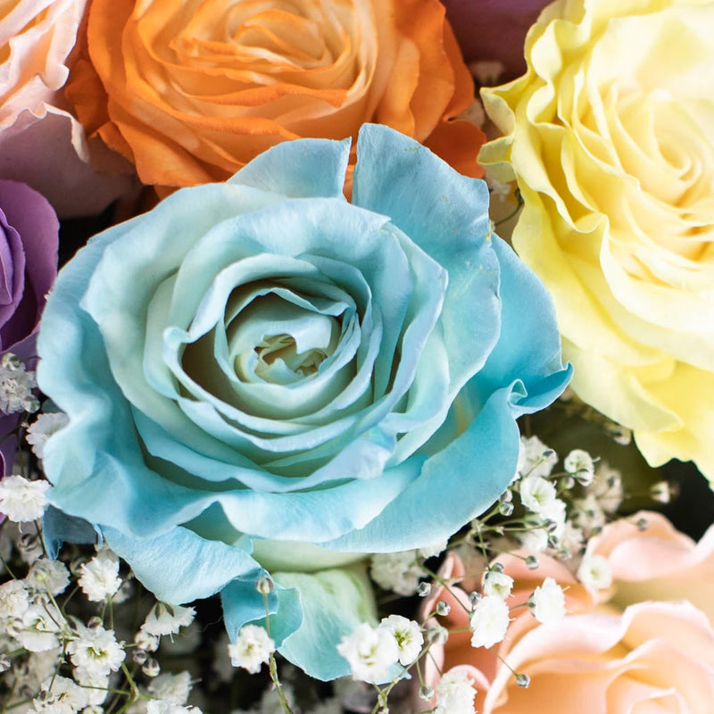 Pastel Rainbow Flower Bouquet Up Close