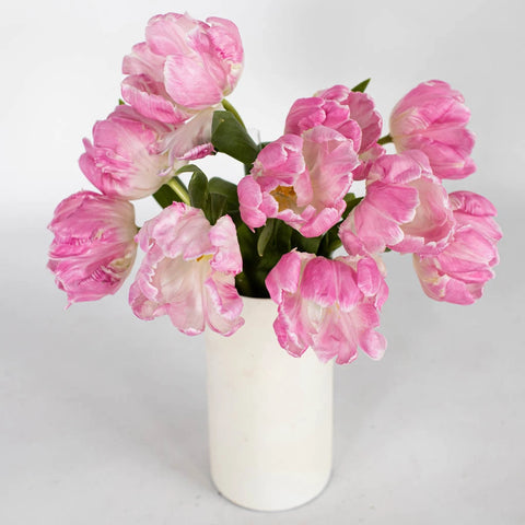 Blush Parrot Tulip Flower Bunch in Vase