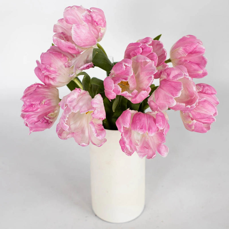 Blush Parrot Tulip Flower Bunch in Vase