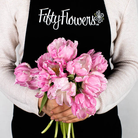 Blush Parrot Tulip Flower Bunch in Hand