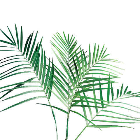 Teepee Green Filler