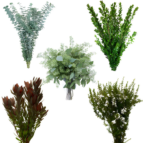 Wedding greens texted mixed greenery box sold near me