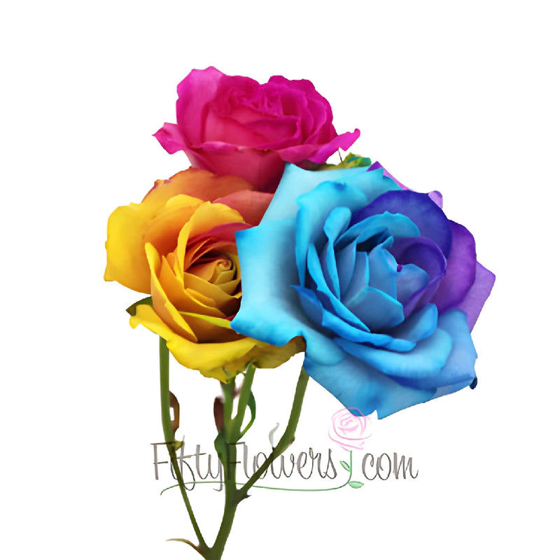 Tie Dye Mini Spray Roses