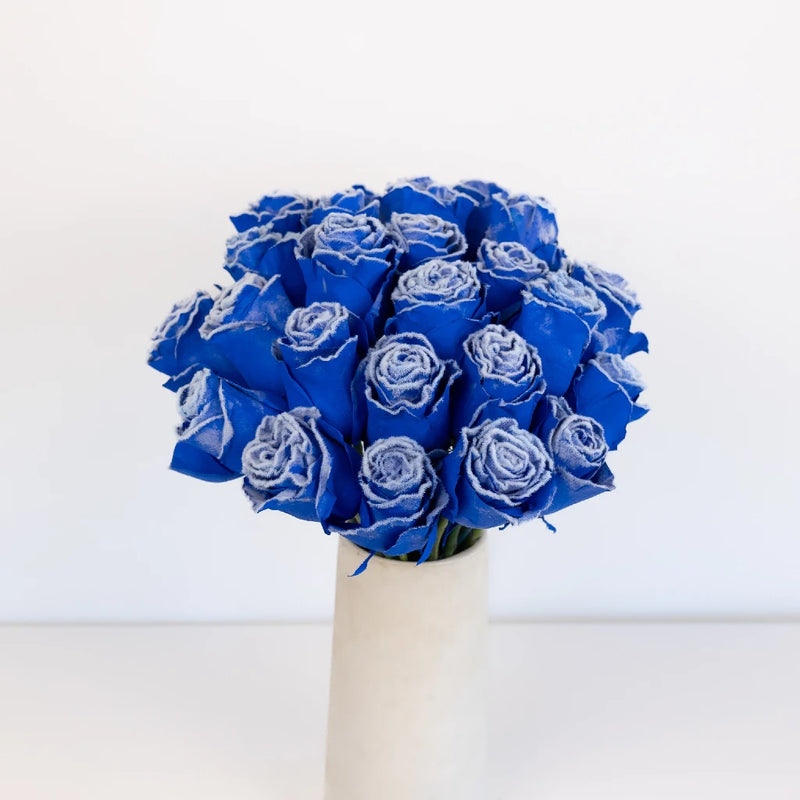 Tinted Blue Fuzzy Roses Vase - Image
