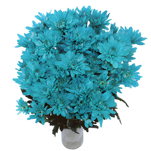 Turquoise Blue Tinted Flowers