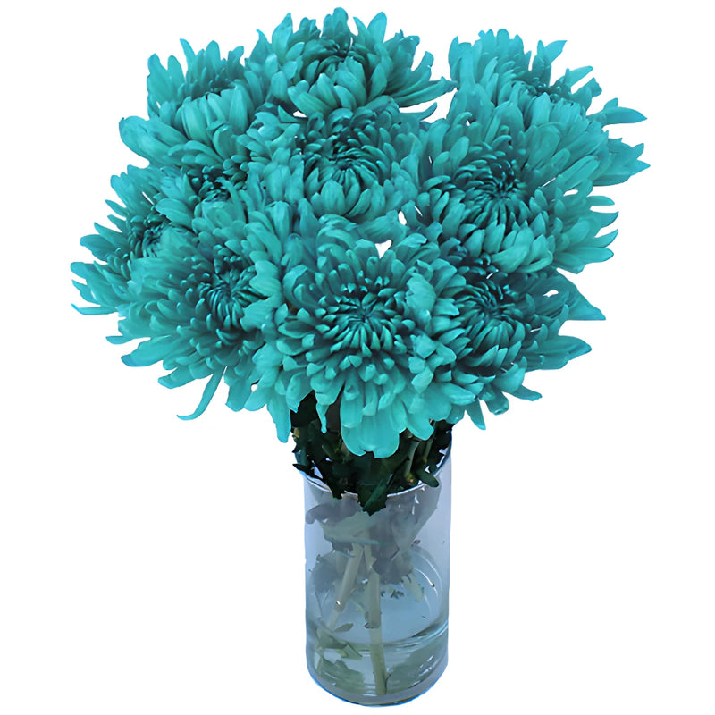 Turquoise Tinted Wedding Cremon Mum
