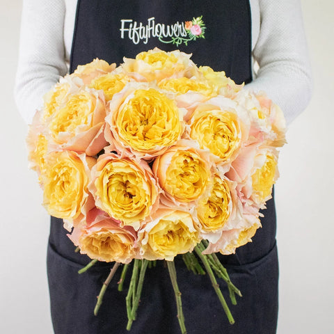Shine On Sunset Garden Roses in a Hand