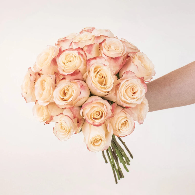 Sevilla Peach Rose Bunch in a Hand