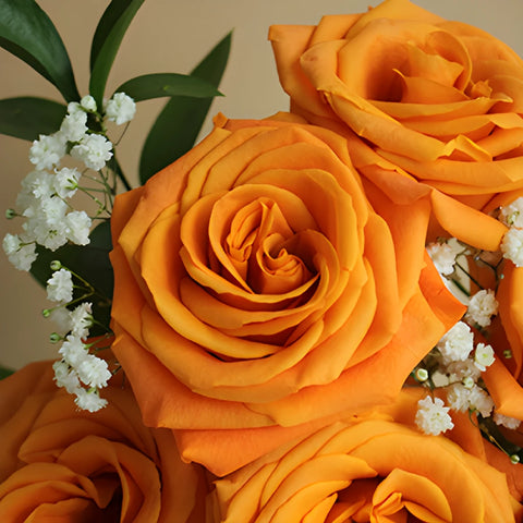 Valentine's Day Dozen Roses Bouquet for Fundraising