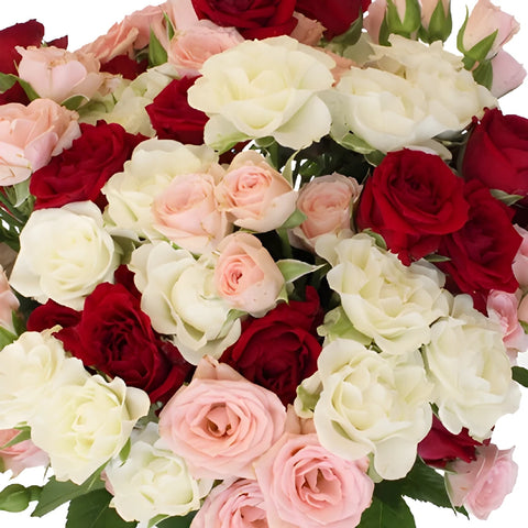Valentine's Petite Spray Rose Mix