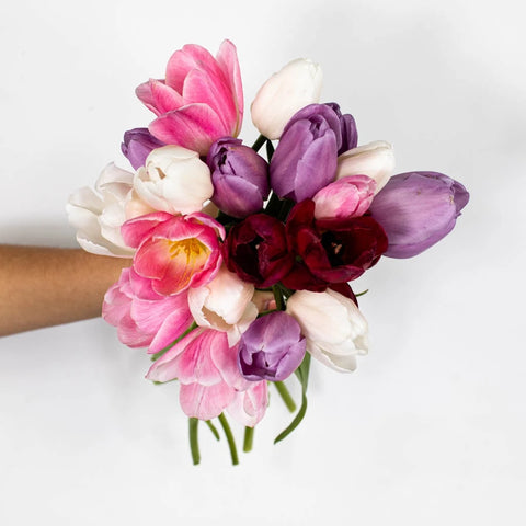 Valentines Day Tulip Flowers Close Up - Image