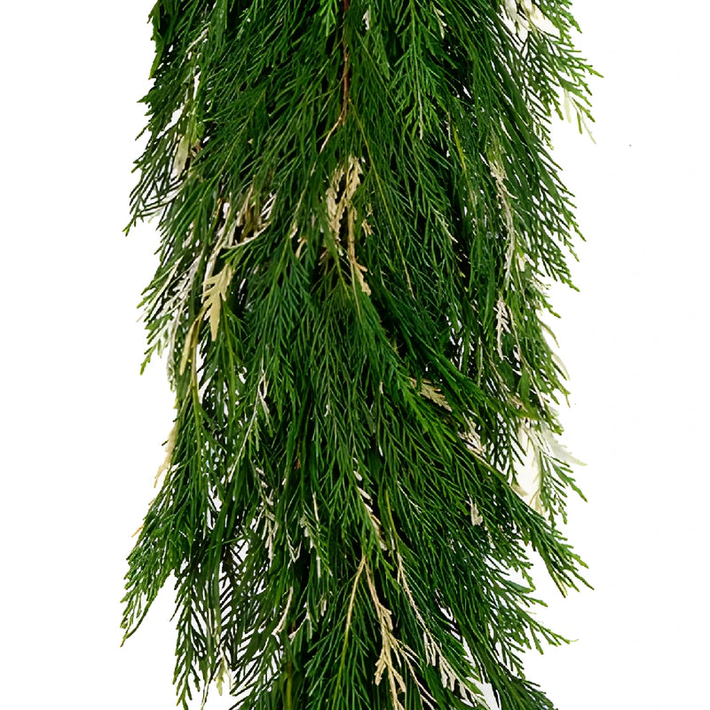 Variegated Leyland Cedar Garland