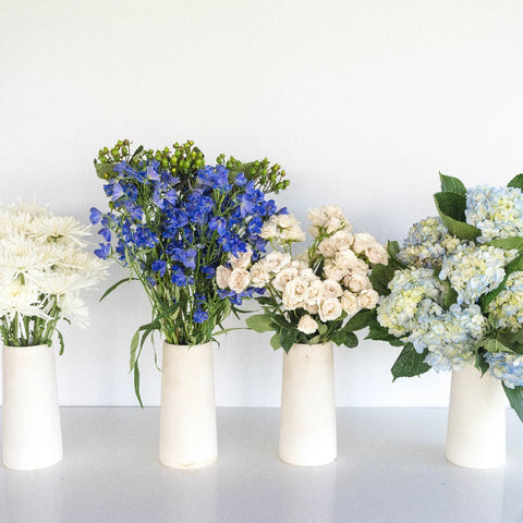 Varsity Blues Diy Combo Pack Recipe - Image