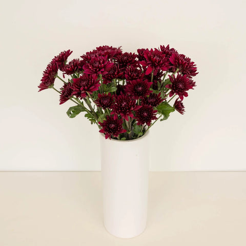 Cushion Paulina Vase - Image