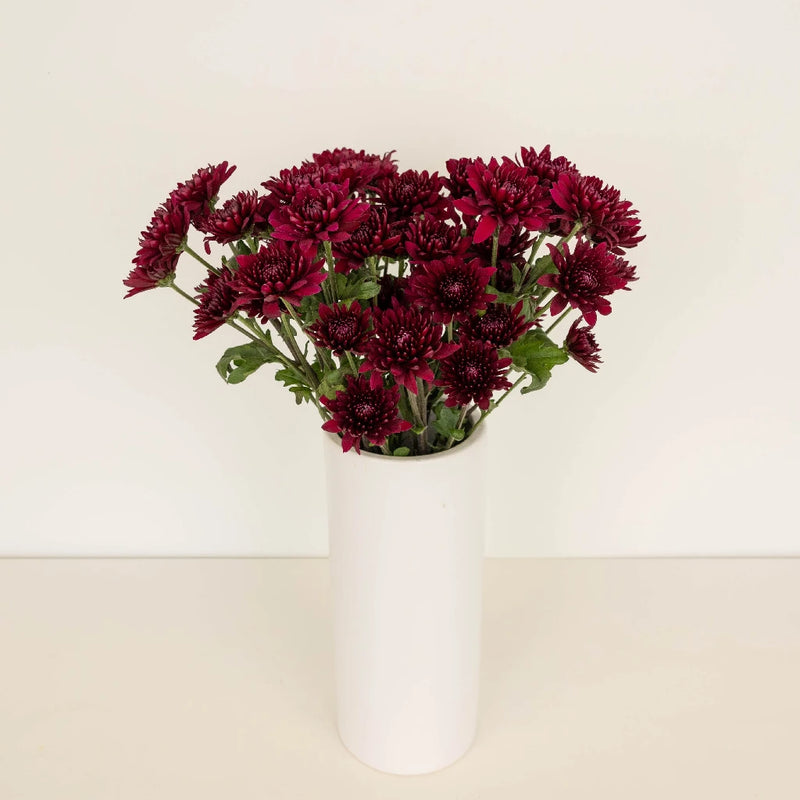Cushion Paulina Vase - Image