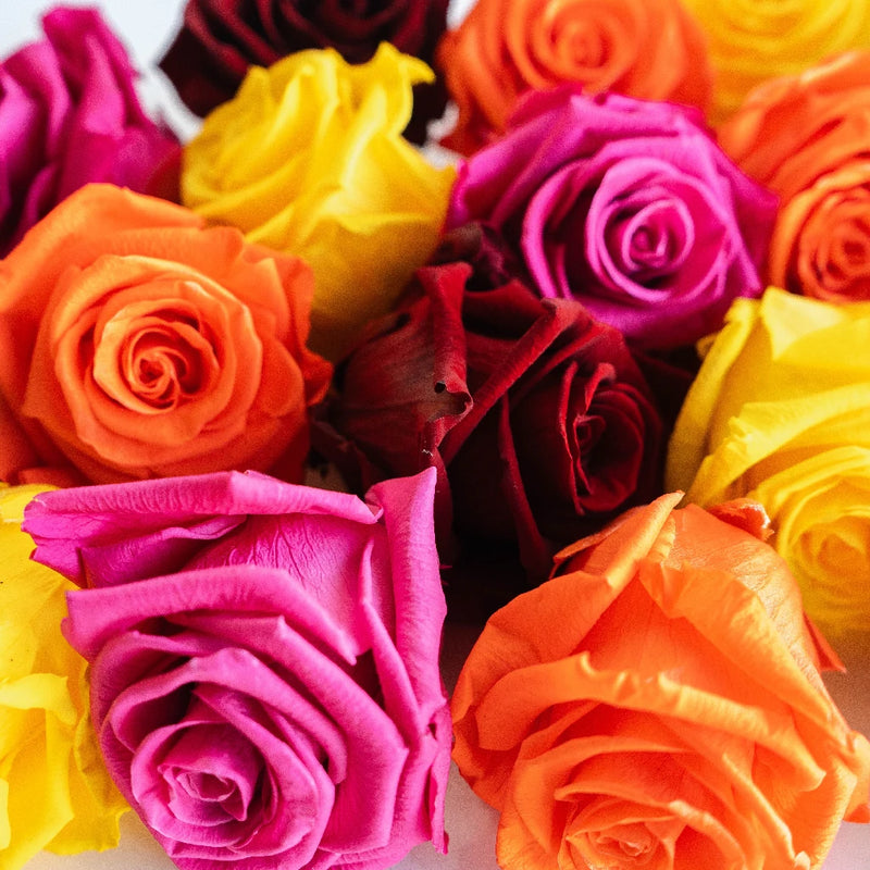 Preserved True Autumn Rose Mix Close Up - Image