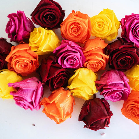 Preserved True Autumn Rose Mix Apron - Image