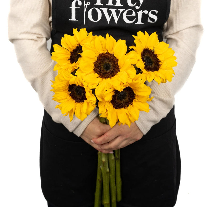 Vincent Choice Apron - Image