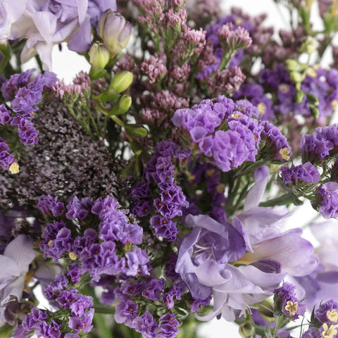 Filler Flower Mix Pack Close Up - Image