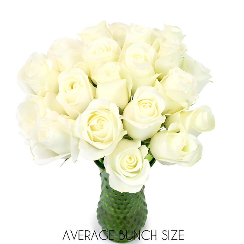 White Akito Sweetheart Roses