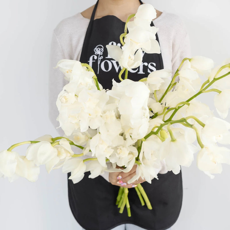 Cymbidium Orchids White And Yellow Apron - Image