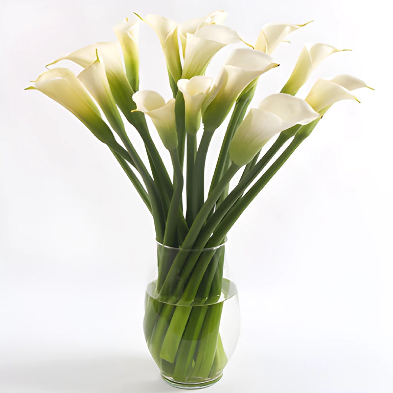 White Calla Lily Flower Bouquet
