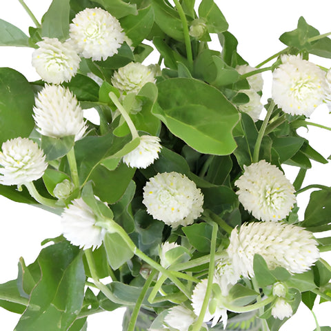 White Gomphrena Wedding Flowers