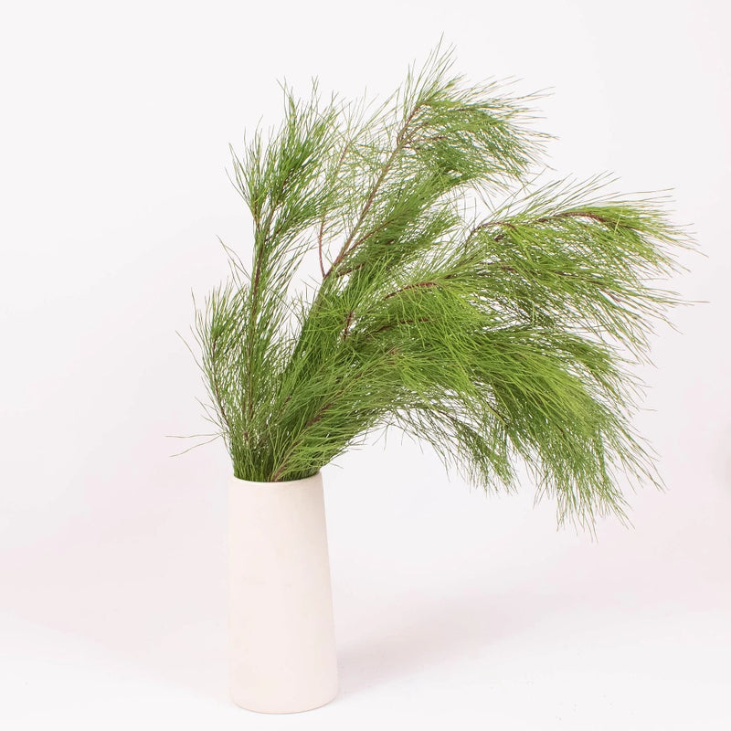 Winter Pine Greenery in Vase
