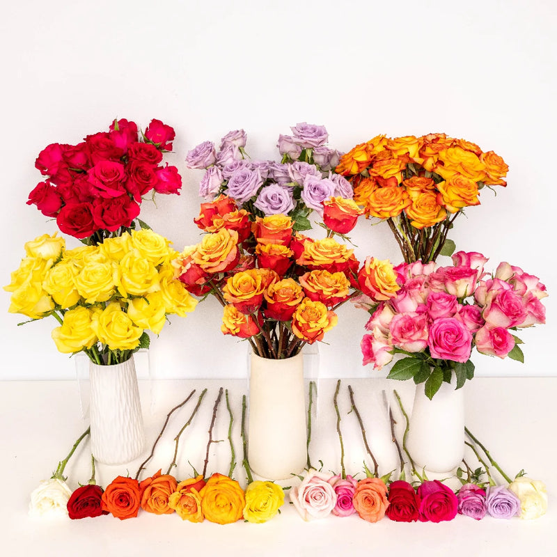 Wholesale Bulk Roses 150 Stems Your Colors Stem - Image