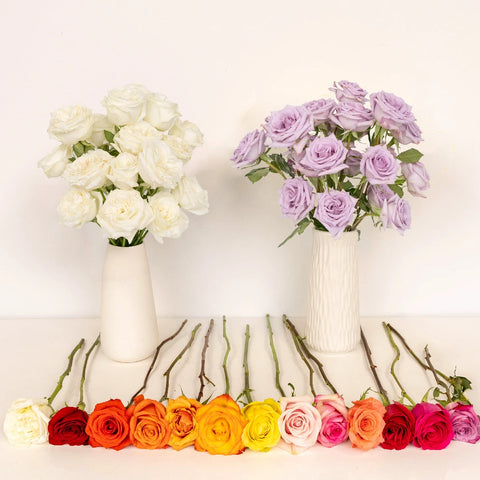 Wholesale Bulk Roses 50 Stems Your Colors Stem - Image