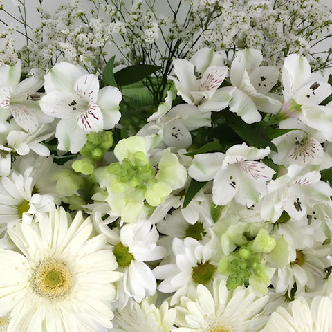 Wholesale White DIY Flower Kit