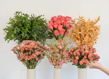 Wild Peach Flower Bar Close Up - Image