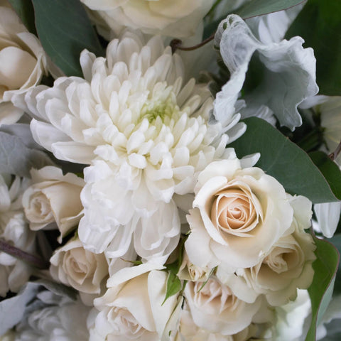 Winter White Diy Close Up - Image