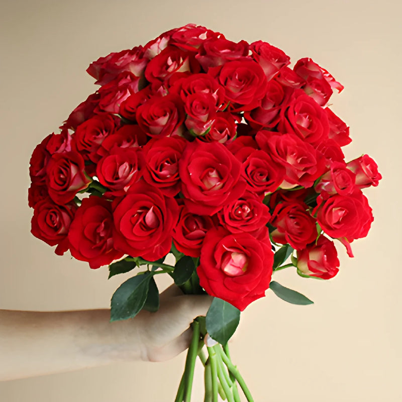 Salsa Red Orange Wholesale Rose Bunch in a hand