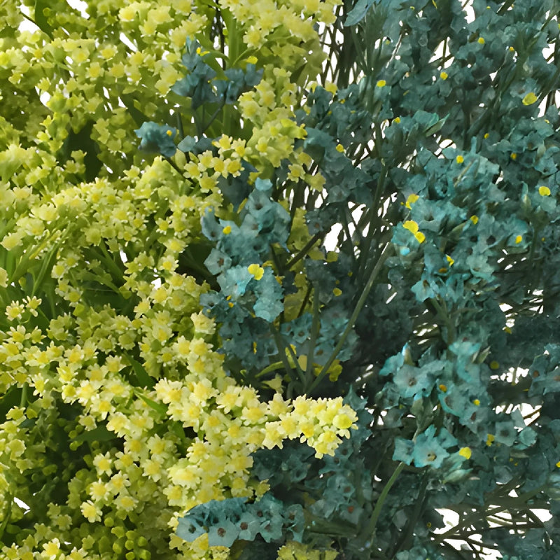 Wispy Filler Turquoise and Lime DIY Flower Kit Up Close